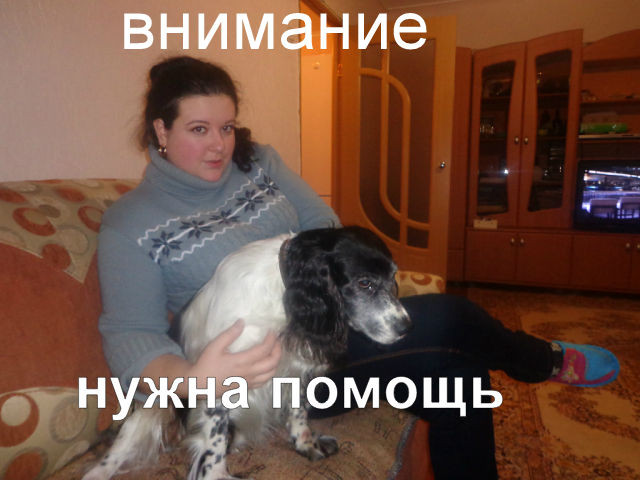 39d4bd867db6eea010133f8b6f77d9e3.jpg