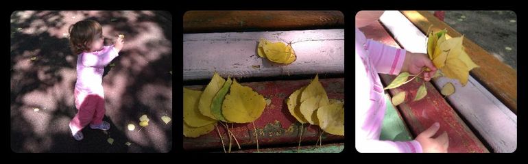 68ca631865dbd3d5857f296ef61007fd.jpg