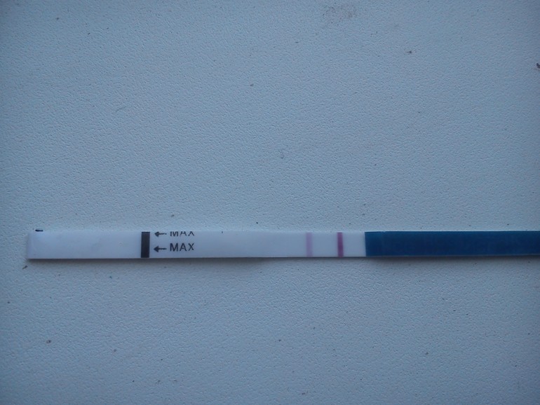 87b64003d86efec54495a7b4539734bb.jpg