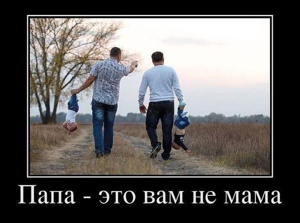 6232ad19b4a0387ea7f903b3a6321b5a.jpg