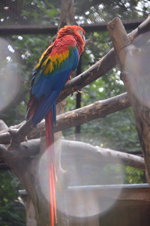 f024be45fa58938f9820e5957f25465b.jpg