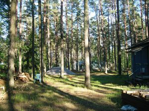Курортный район СПб,  г. Зеленогорск, Северная ул. Площадь участка (сот): 9 Стоимость: 4500 тыс.руб.
