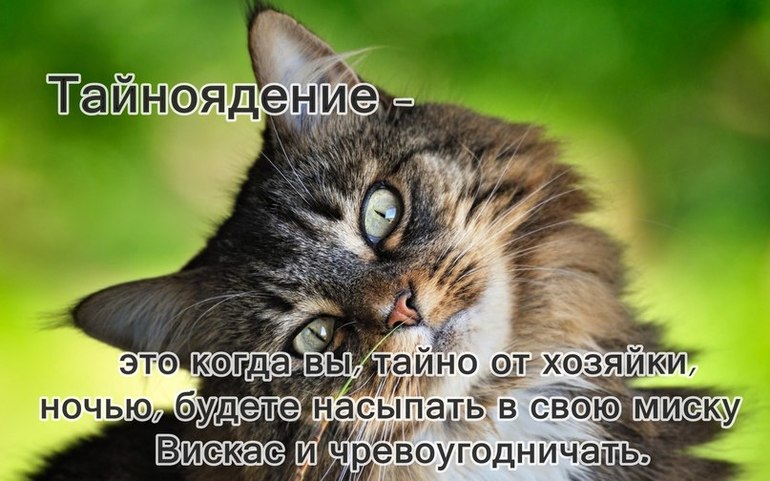 5048da6450831905a8ef0f94135c0ebf.jpg