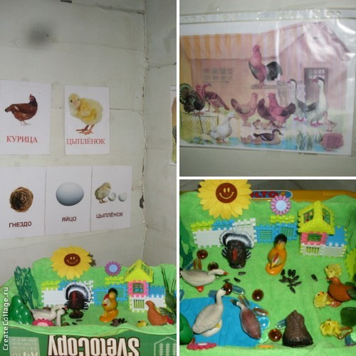 bac1ba0d1d71813272db4c29b807cbcd.jpg
