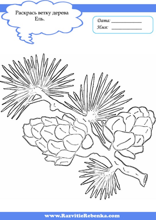 2edf1a434b999c6e0b082f63e2a758b0.jpg