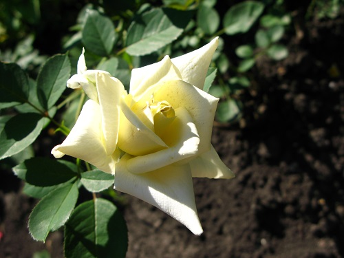 af90486bfec7f0bd93c6f19cc0bb33a7.jpg