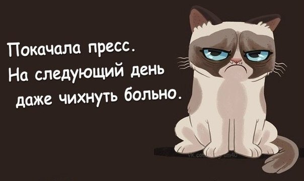 60325dba9c5caa735d3e0c64a03e8bd5.jpg
