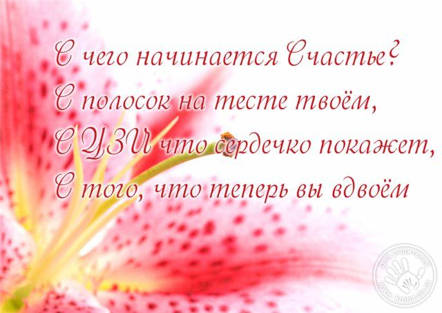 6b403e861b393db94f1d66f709fb72f9.jpg