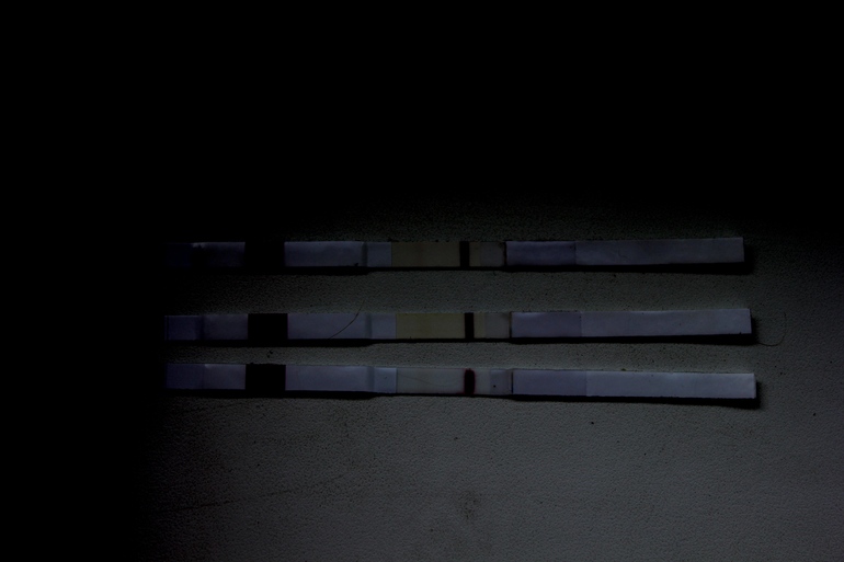 b02cf1dd4721703b147ddc09777e3618.jpg