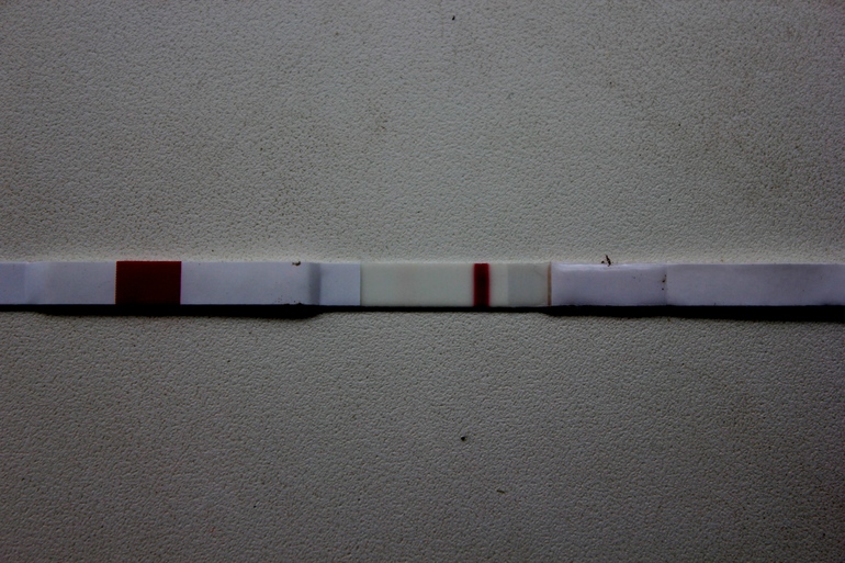 37a9aa9573ab11b82c486df50d40cae5.jpg