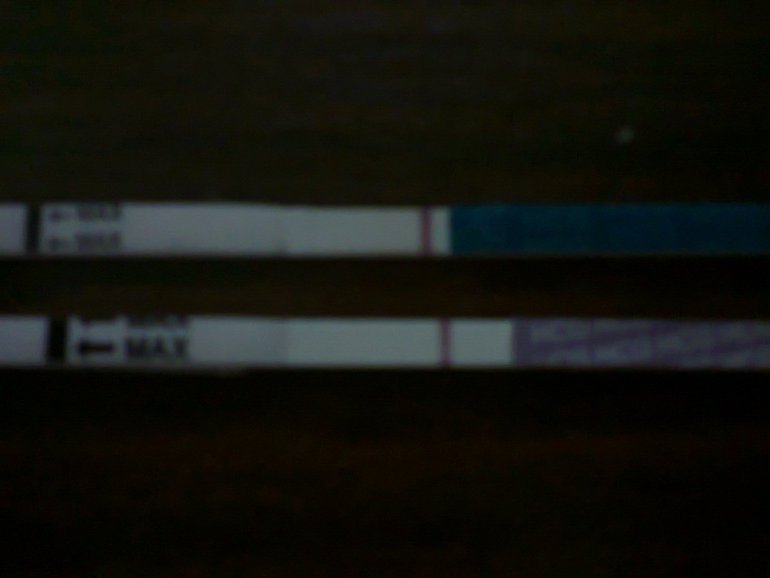 a64c40beee4854d93b7458ad9203d250.jpg