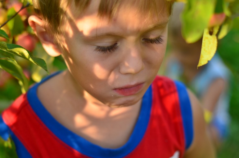 d77e03dcabab4b31e02619749c0d5317.jpg
