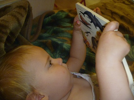 b3c2911cf4e20f84413b3fed2c9d2baf.jpg
