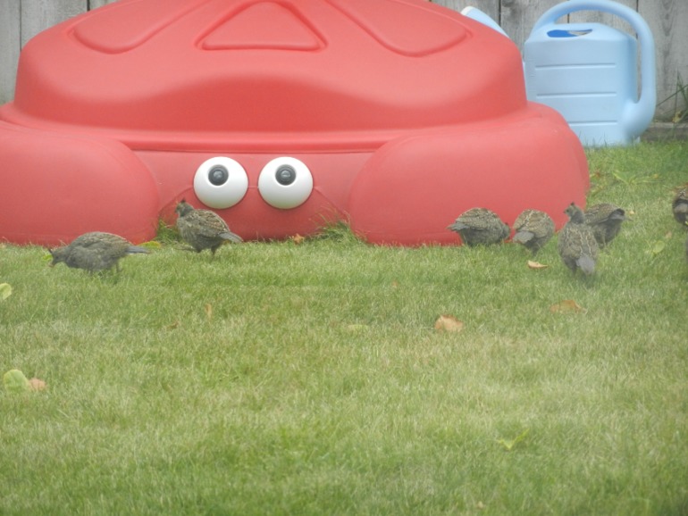 3d0bcd3769e0b61673e9c40573deb0dd.jpg