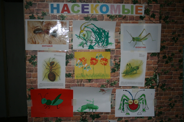 b675090cd5edf8d2e7846caaf6395e8c.jpg
