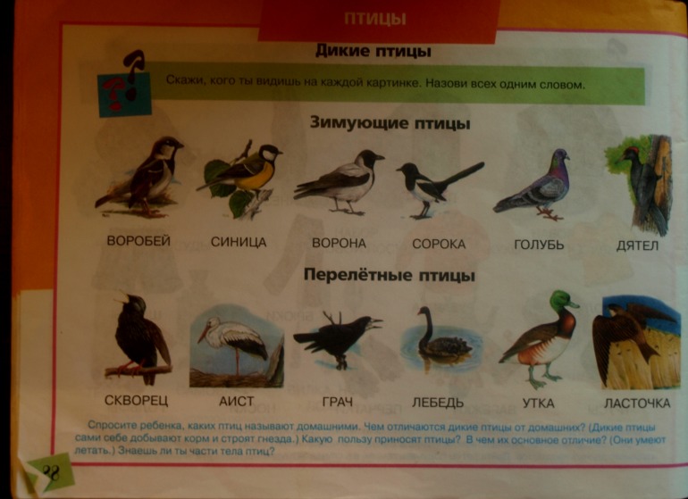 ТН