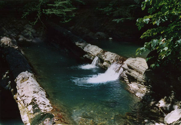 9fcebadc4523184a1ece9817125b8280.jpg