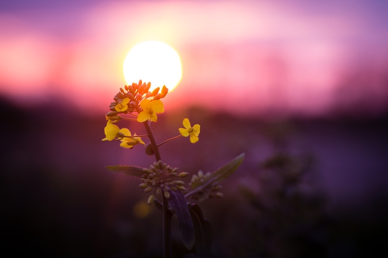 72debf64ab6bf977aee8d9e2597f0e11.jpg