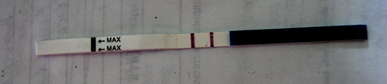 0ad450dfbb52428e60bc2d4889b285bf.jpg