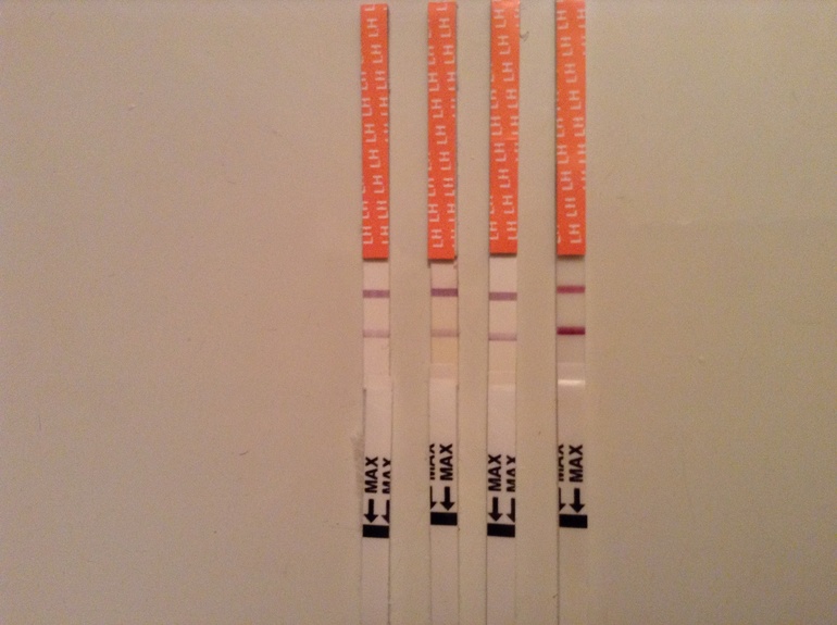 bf185adb2d9293ebbd8ce0e77165735d.jpg