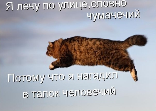 7e38ed44ef6b6ea53c12d2abedf29c3b.jpg