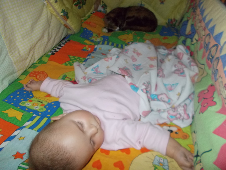 1447e246d848100ba3b7c1003bac35a4.jpg