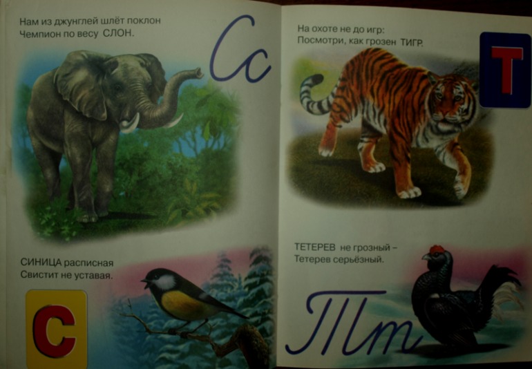ТН