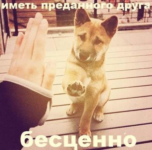 Я горжусь своим другом!)