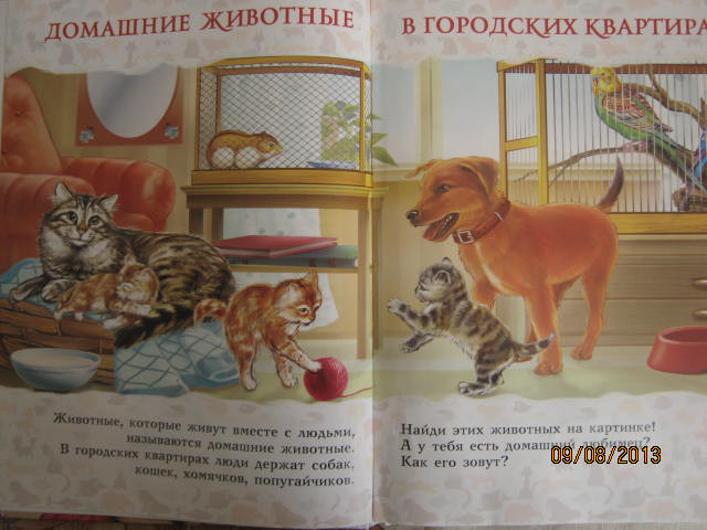 73f1665e9da00db3baef4f8d96aeccee.jpg