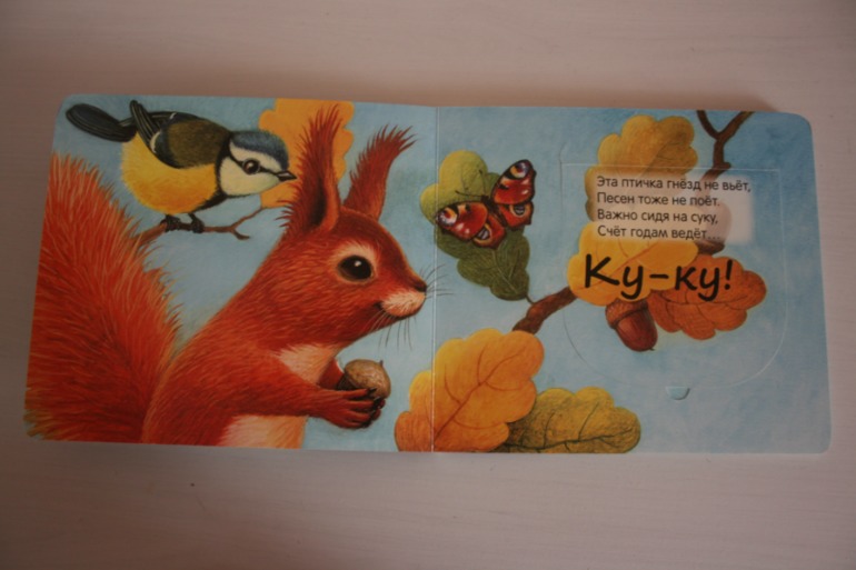 Книжки с кармашками
