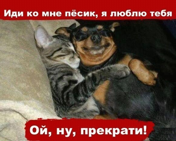 d8d348f6213d1d302411d5f9cb72df07.jpg