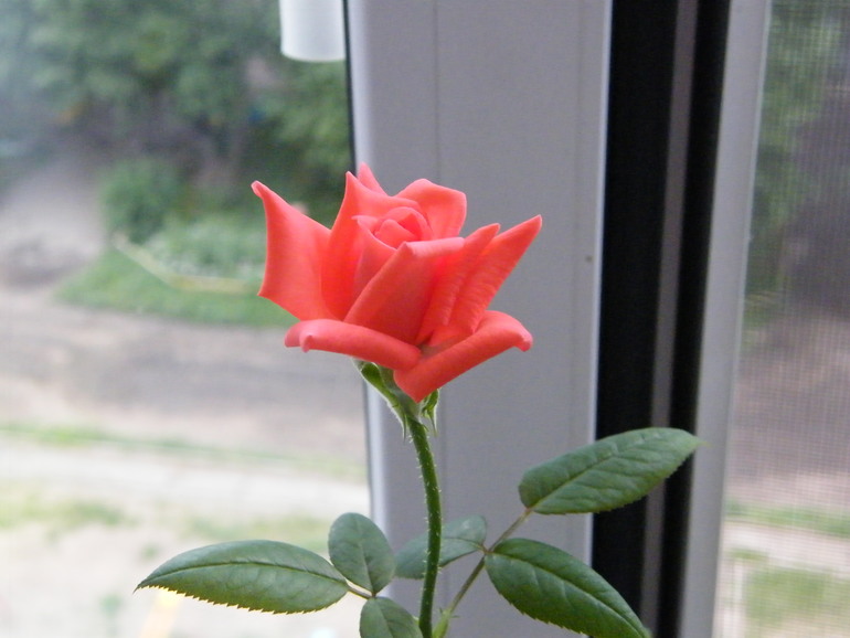9329c94b02e4acd94716887622f2f0f9.jpg