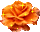 7c71687cf2b2f465d5e7a2dfe636700e.gif