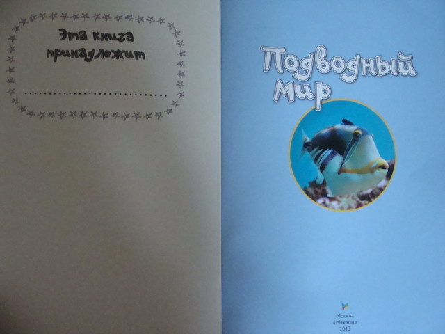 1461de343141d9bccdad0038bfbc375d.jpg
