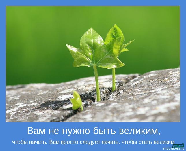 4d844905070e3b848568382026d33801.jpg