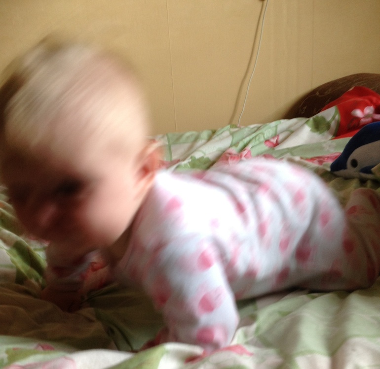 3cdb34889a35d1e9078cb7d8249005bb.jpg