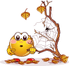 e51360da5d036b81a6c8d823445201c9.gif