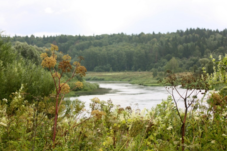 c06957e50eeeccd610611dfd186c1f76.jpg