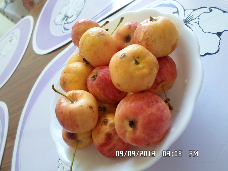 2055f09a638c8ad6c7ddd4fffc7b313c.jpg