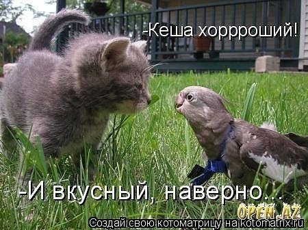 Оцените