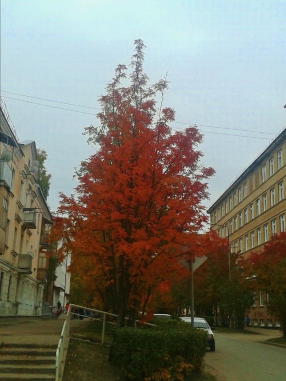 Бабье лето.
