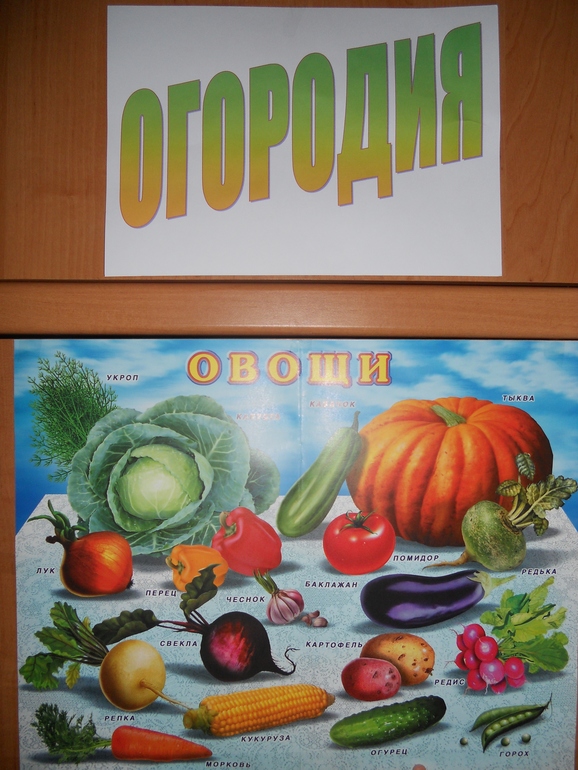 А мы были в замечательной стране - ОГОРОДИИ!!!!!