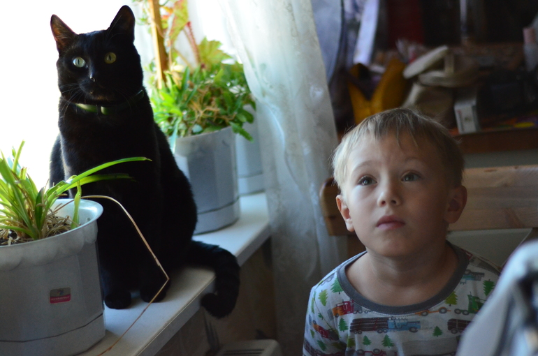 c40cc5d2436eda68902b99651fb71245.jpg