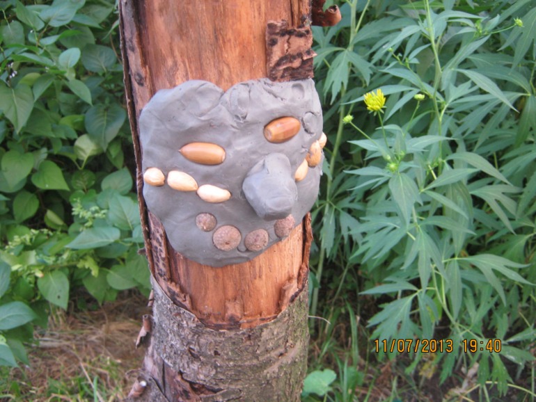 dbf591105ffb1fe42dbc7458eb965ead.jpg