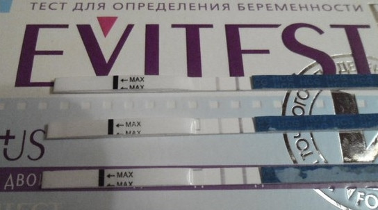 6fc1bed214a2a837ac4c0c8e57c6c279.jpg