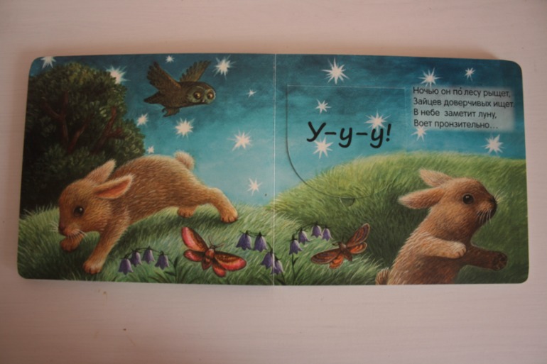 Книжки с кармашками