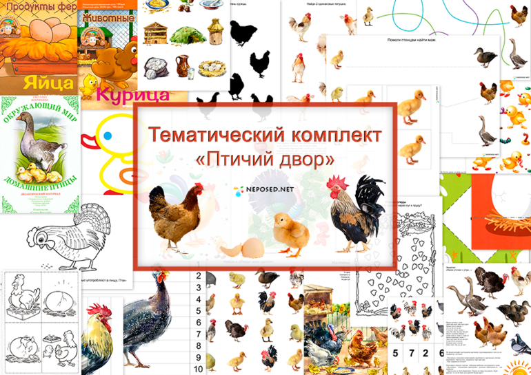 86300ff00219902fd627dba7585926c8.png