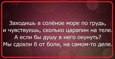 712bf4f9bf50b28520cbff7d9130d773.jpg