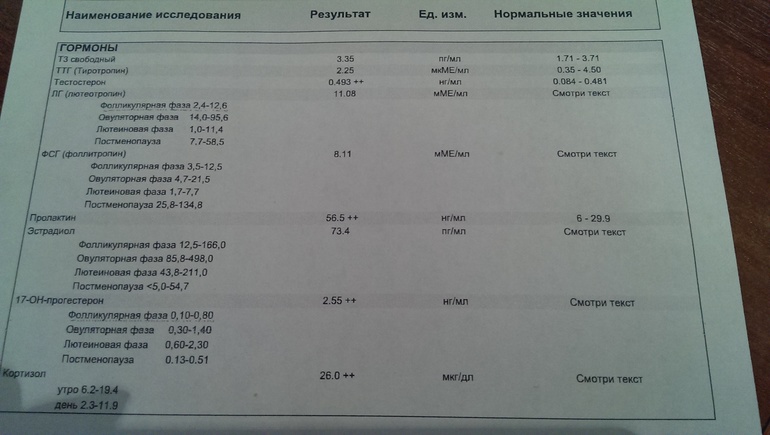 a58d0c4395af6eba77728a255f25491e.jpg