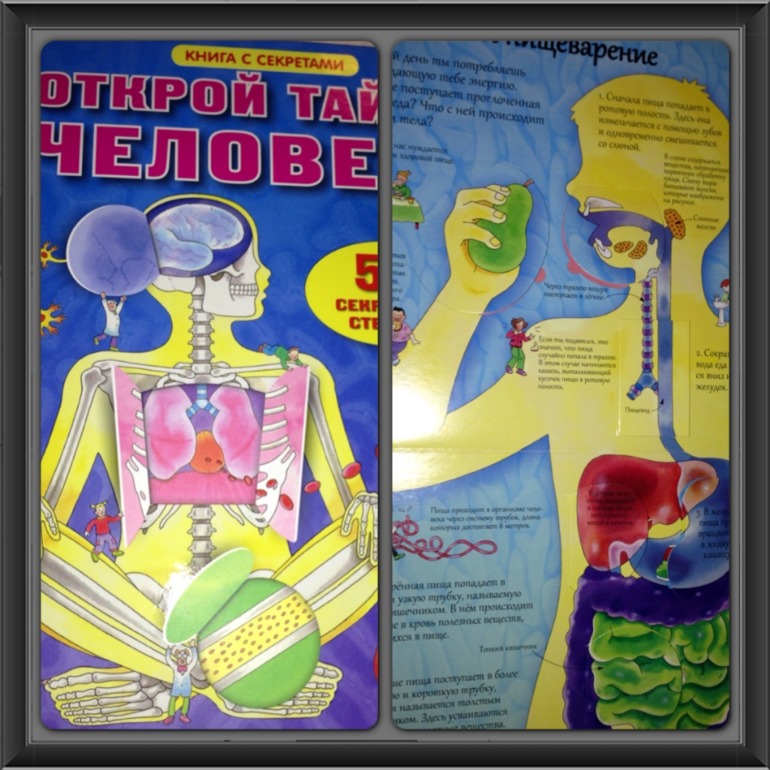 ce5ce7f5b8d4983bfd67a89a517f10a9.jpg